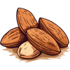 ALMOND OIL