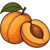 APRICOT OIL