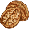 WALNUT OIL